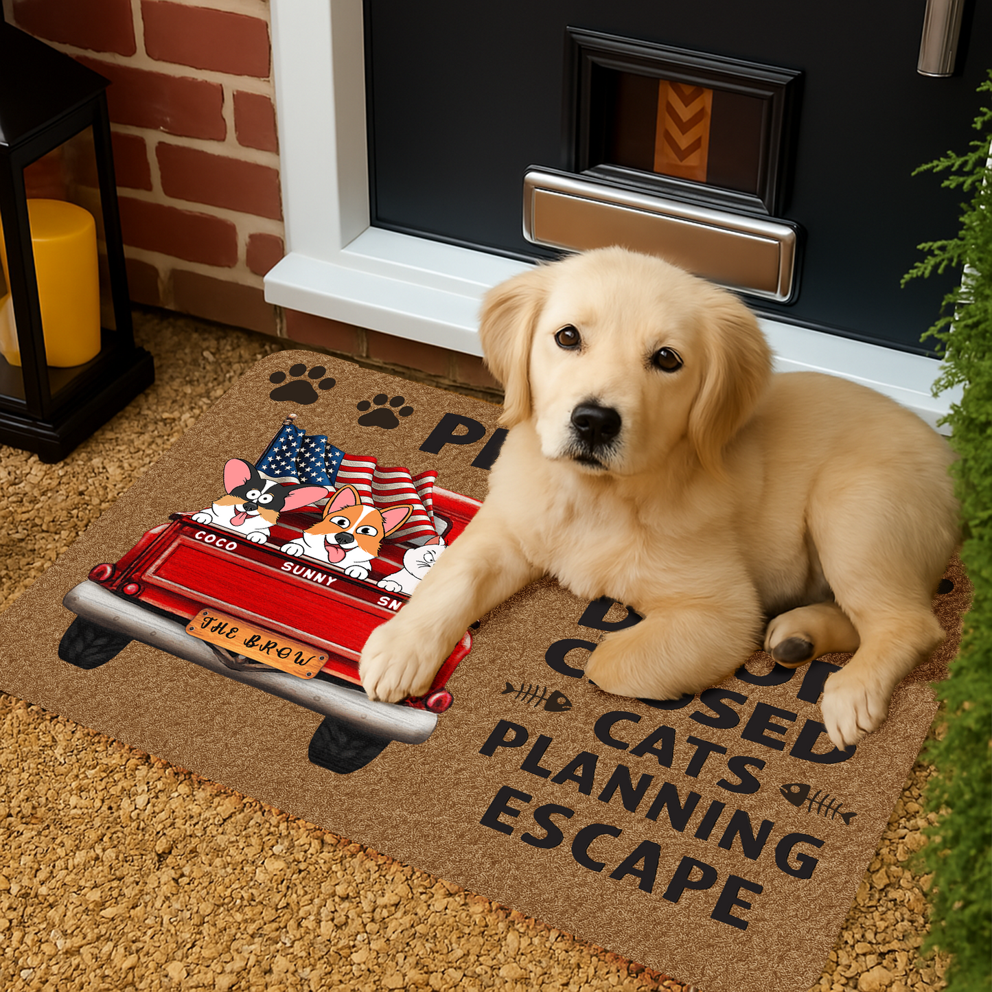 Custom Home Decor Decorative Mat - Personalized Birthday Gifts For Cat Lovers, Cat Mom And Dad - Crazy Cat People Live Here